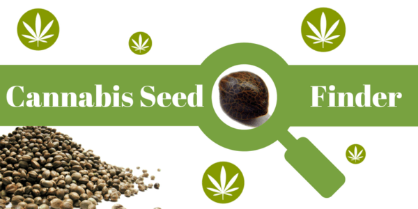 weed seeds usa