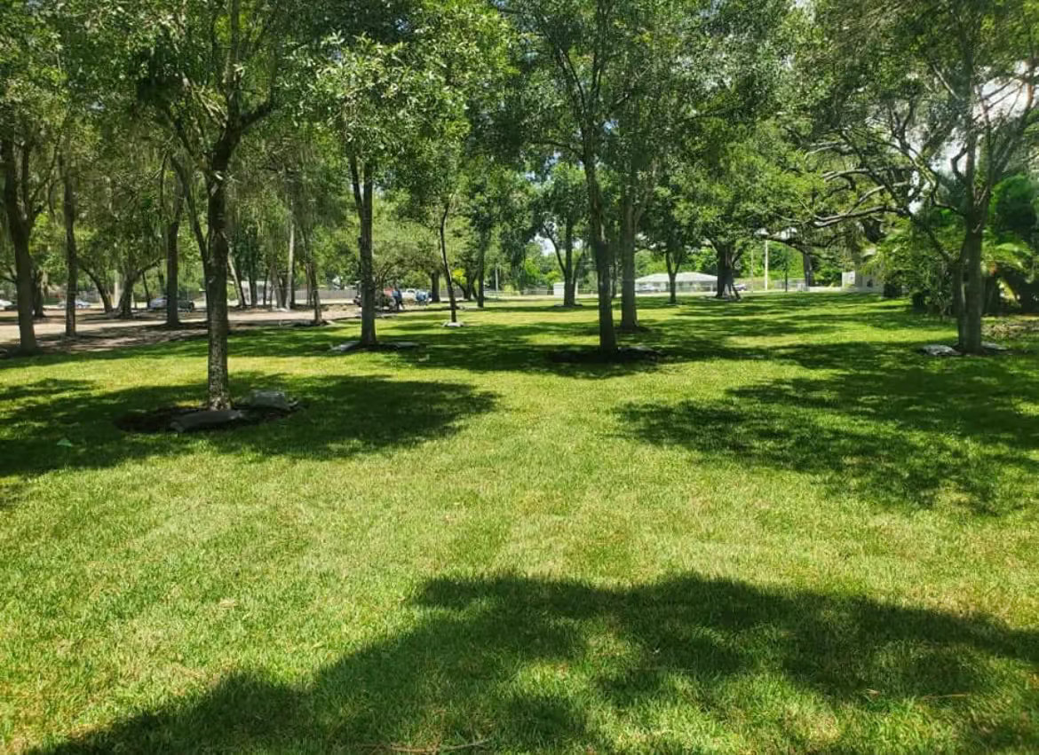 commercial sod supplier Tampa