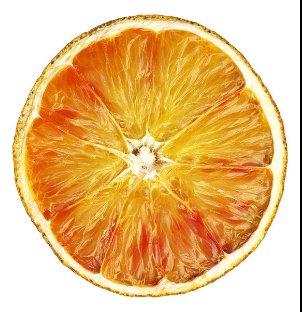 File:Scan of an orange 3.jpg