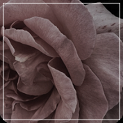 4c6ecbb8fdc931c22e1d97542bb5d03f.png