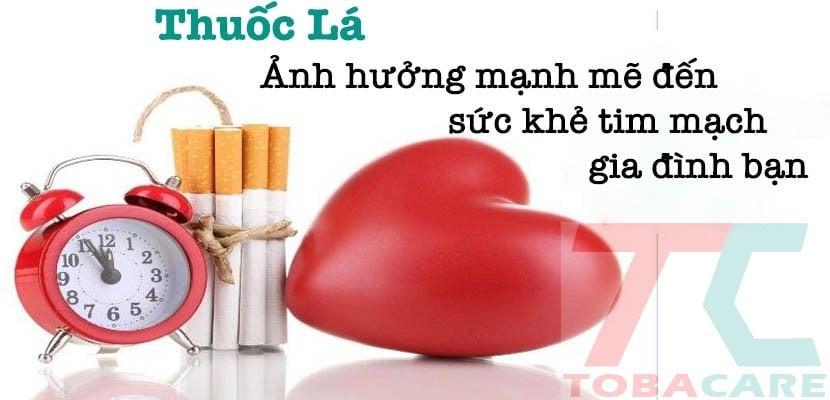 Hút thuốc lá ảnh hưởng đến tim mạch