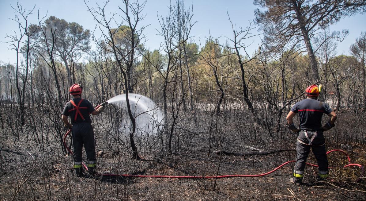 Feu de forêt de Saint-Cannat, premier gros incendie de la saison. PHOTO : ©IAN HANNING/REA