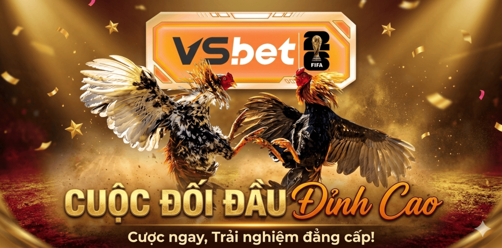 sảnh đá gà Vsbet