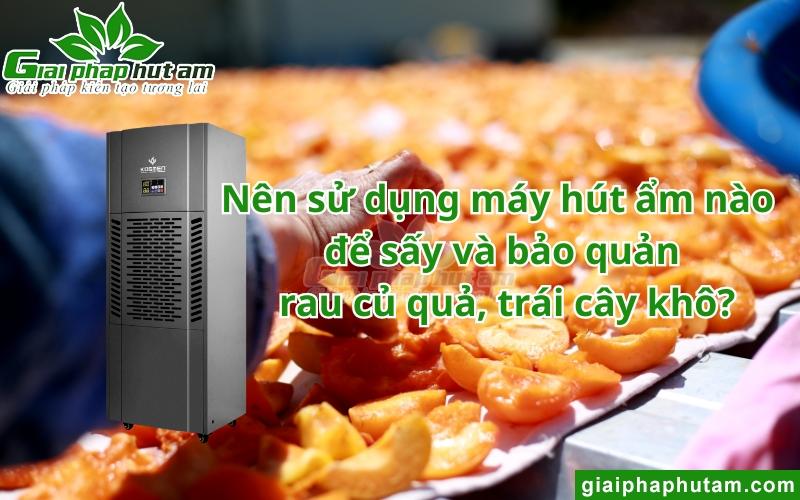 máy hút ẩm sấy và bảo quản ray củ quả, trái cây khô