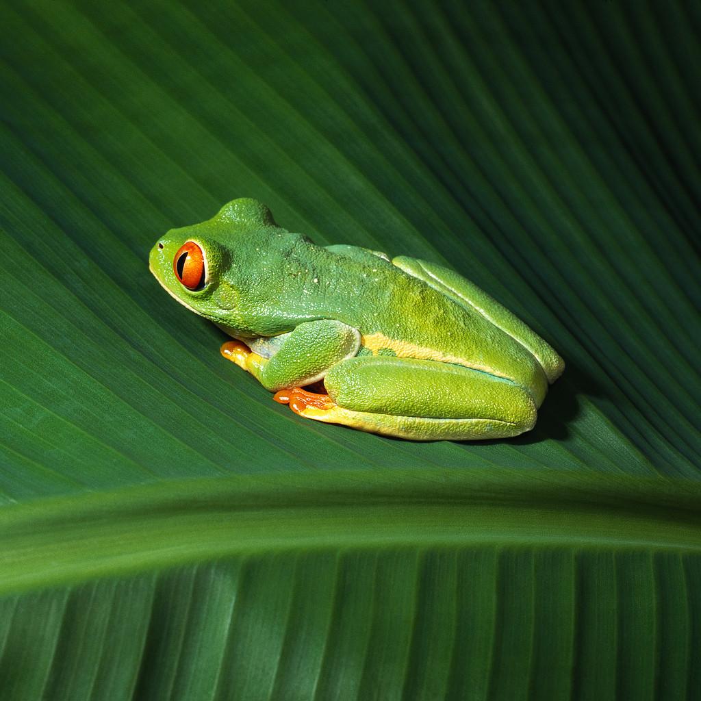 anuncios imobiliarios