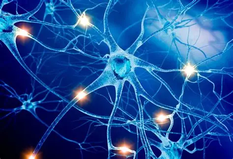 Feinstein Institutes trial finds promising non-invasive therapy for ...