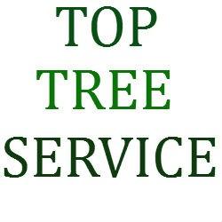 top_tree_service-logo_small.jpg