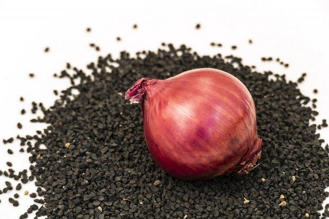 Onion Seeds