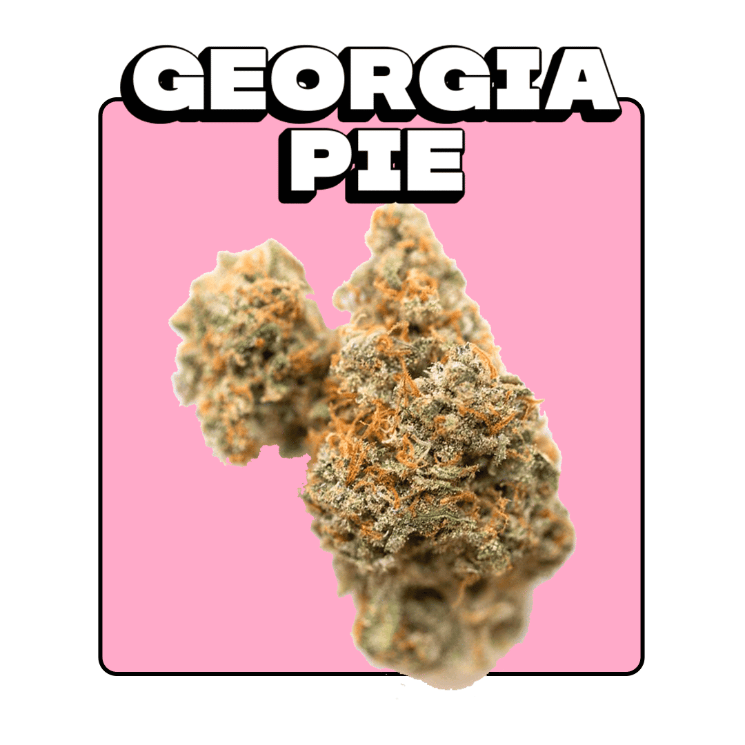 Georgia Pie | Premium Cannabis Dispensary | Delivery | Bangkok |