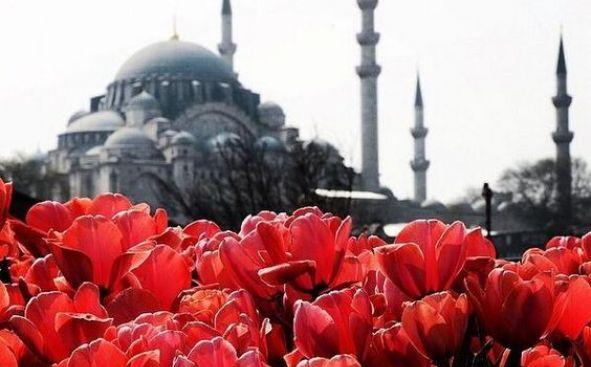 турско крайбрежие оферти