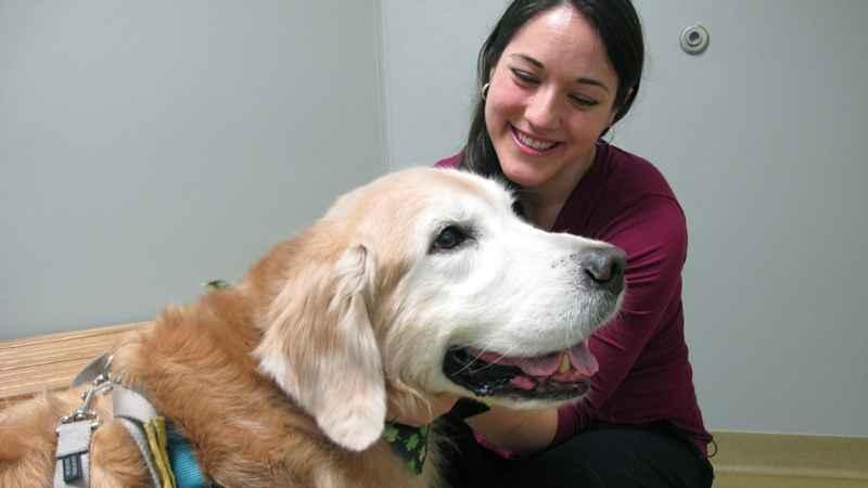 Can your pet get the coronavirus? Health officials answer questions about  pets, COVID-19 | KSTP.com