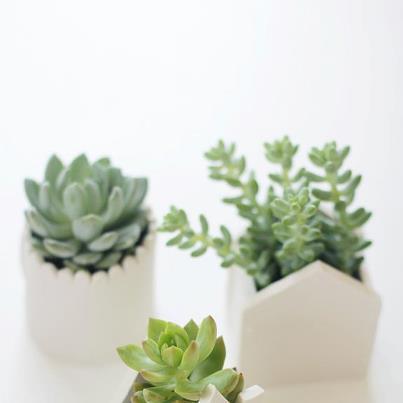 Photo: DIY Clay Pots for Small Plants  Learn how here  http://www.homedit.com/diy-clay-pots-for-small-plants/