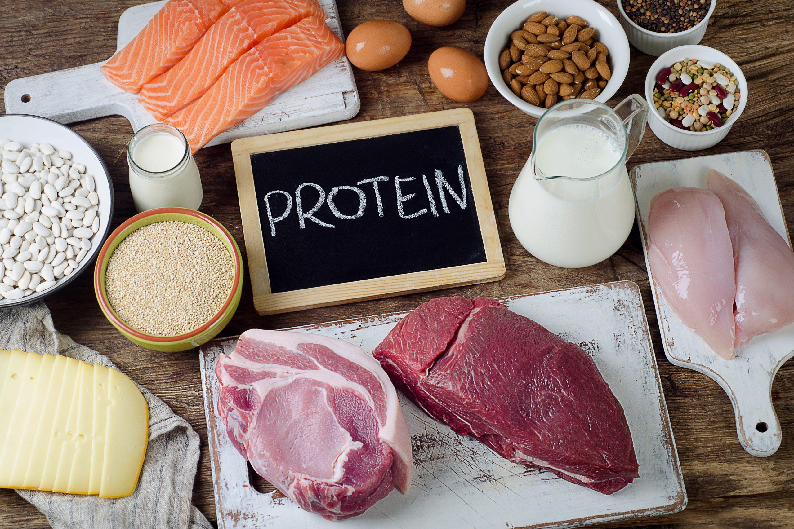 What is Protein? Benefits & Sources | The Science Blog