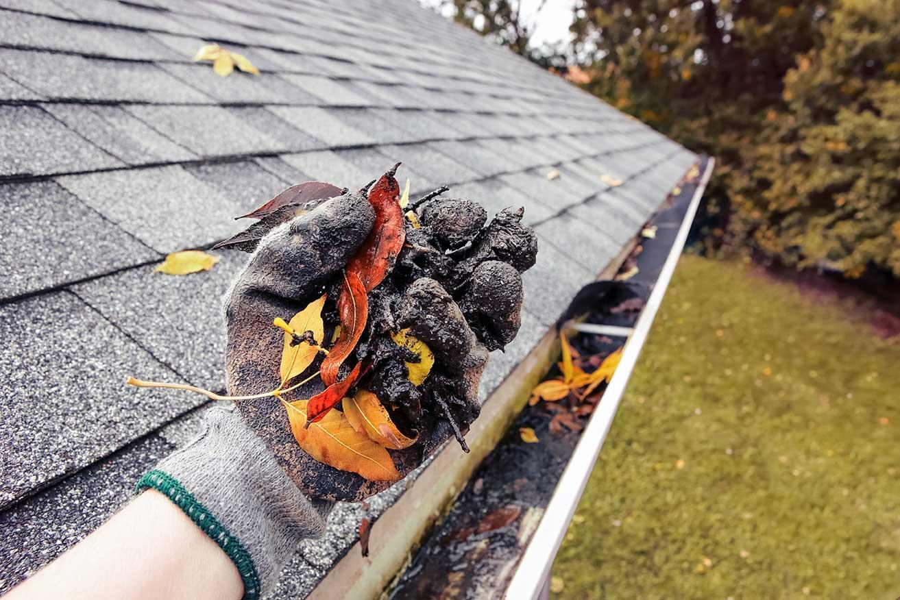 Drainage Emergency