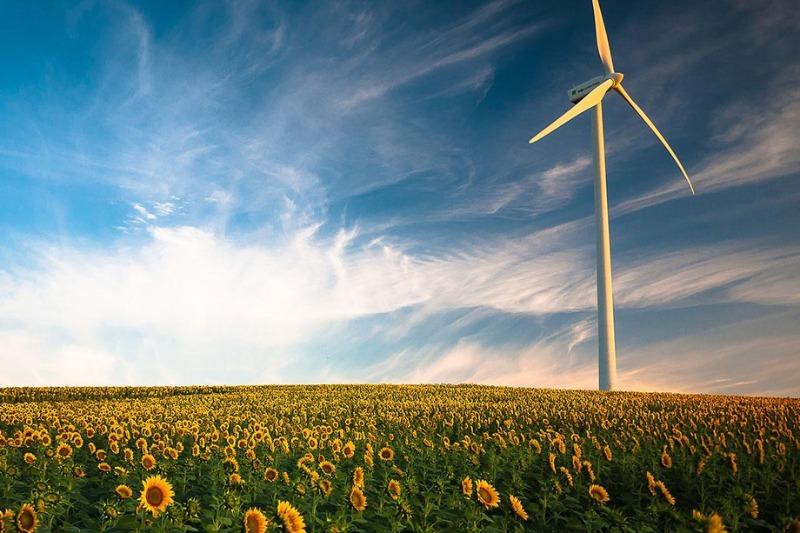 singlewindturbinesunflowerfielddawndusk.jpg