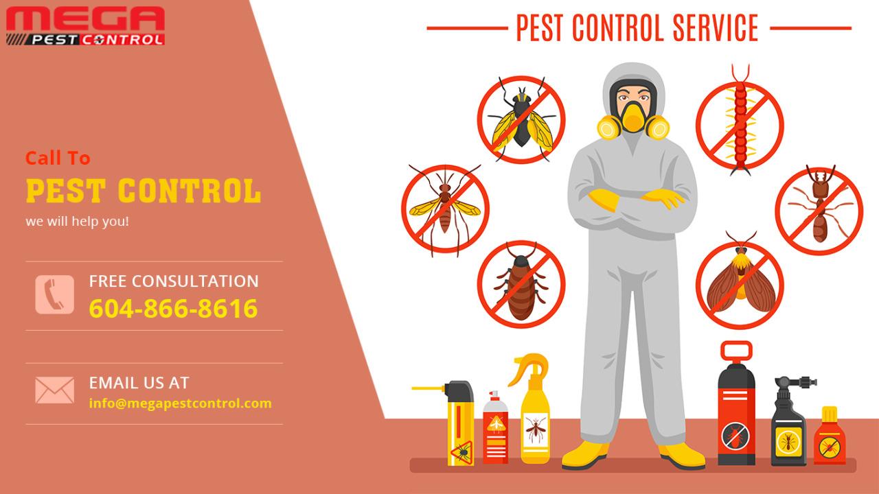 Bond Carpet Cleaning And Pest Control Brisbane