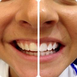 Dental Clinic