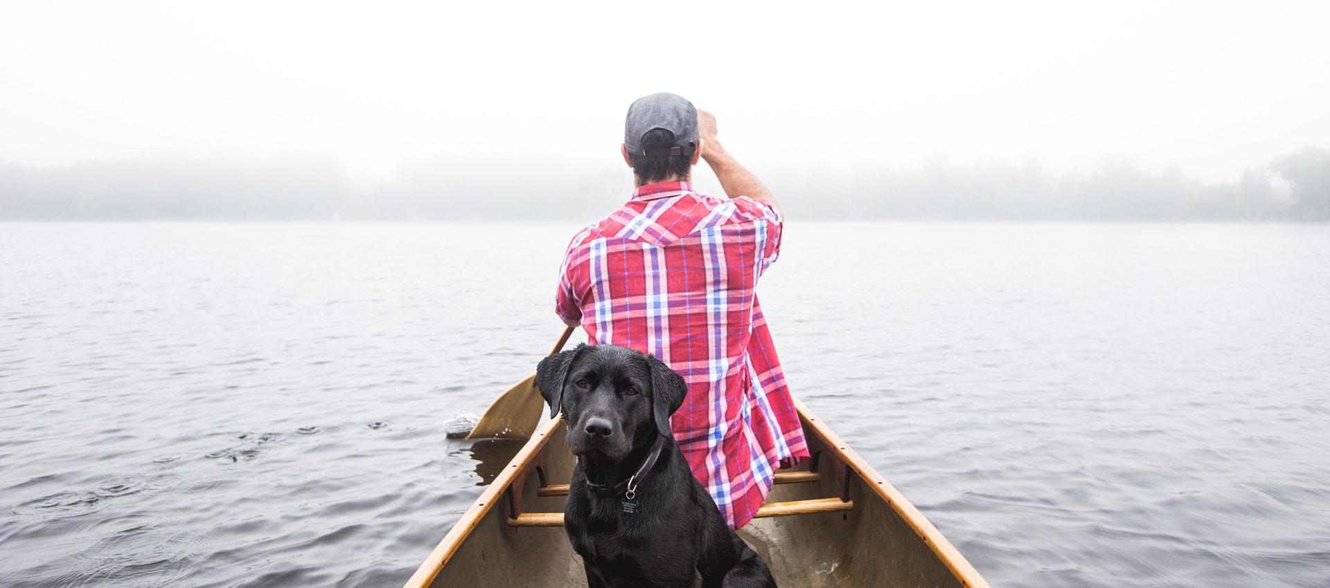 Pure Dog Training products