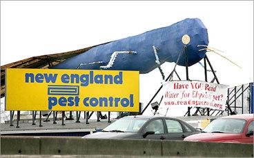 local pest control near me