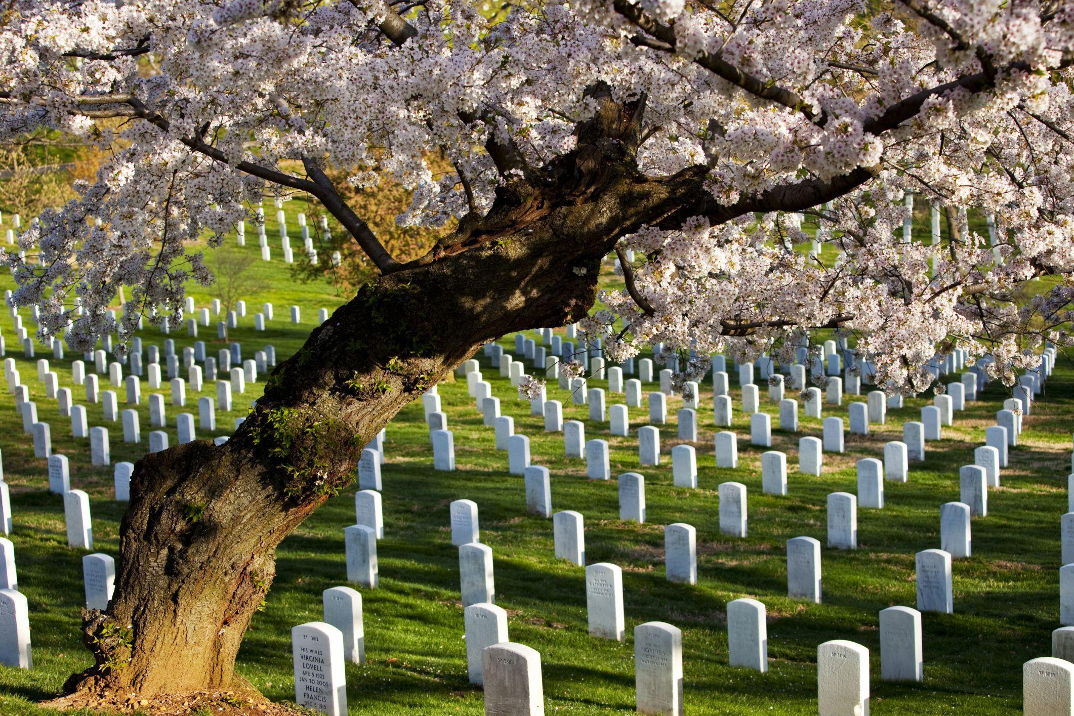 Arlington National Cemetery: What to See and Do