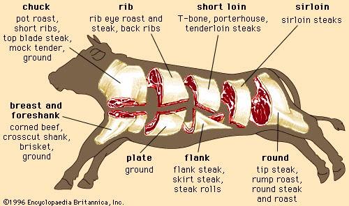 beef_cuts_small.jpg