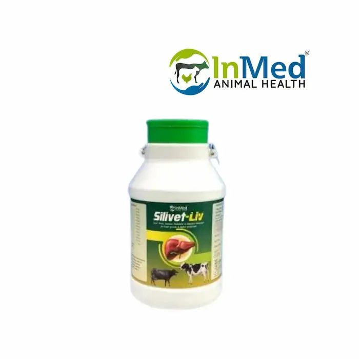 silivet-liv