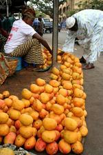 Bamako full of mangos