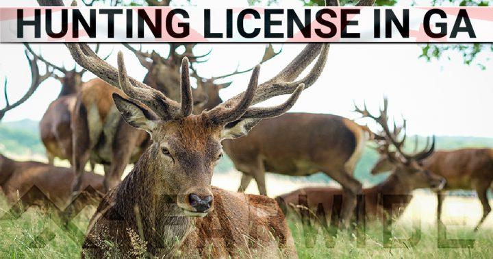 Hunting License GA