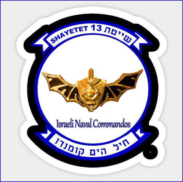 Shayatet Israeli Seals Badge.jpg