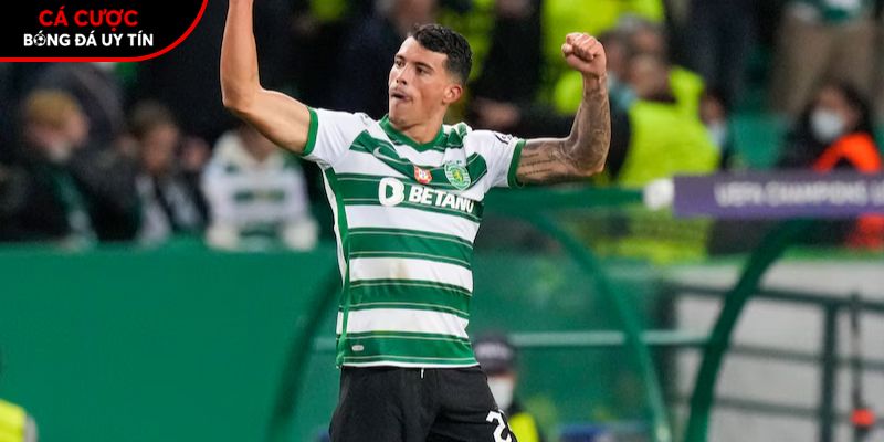 Soi kèo Sporting CP vs Tondela chi tiết