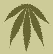 marihuana zniewala