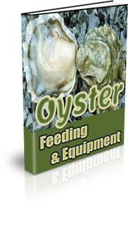 oyster feeding