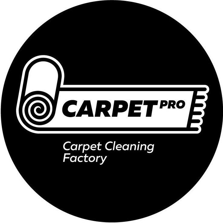 фото: Carpet PRO Sets New Standards in Deep Carpet Cleaning — From Door to Door