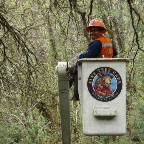 Tree Service