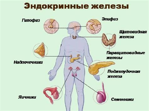 ad6041b83ff2355da2b225cfb0cdab8b.png