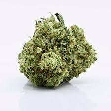 Trainwreck - Buy Weed Online In Canada - Xpressbud.ca