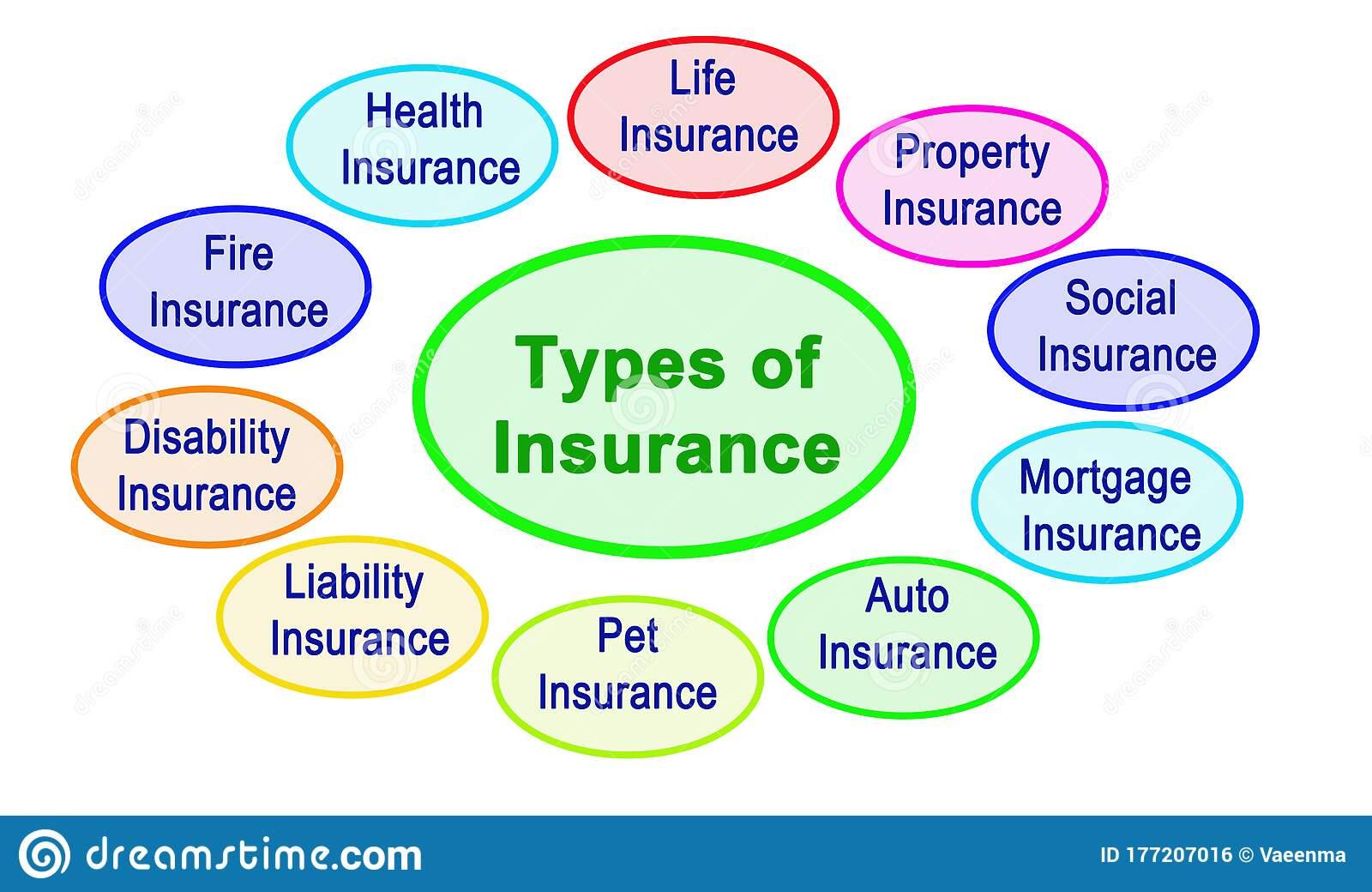 Whole Life Insurance