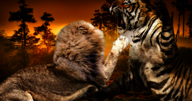 img_20230303_152328.png
