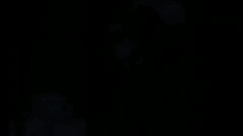 b3e2f17d8f50206829a9ab73a832fd16.gif