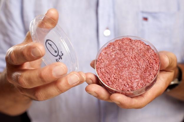 Pierwszy w historii burger z probówki. /PAP/EPA