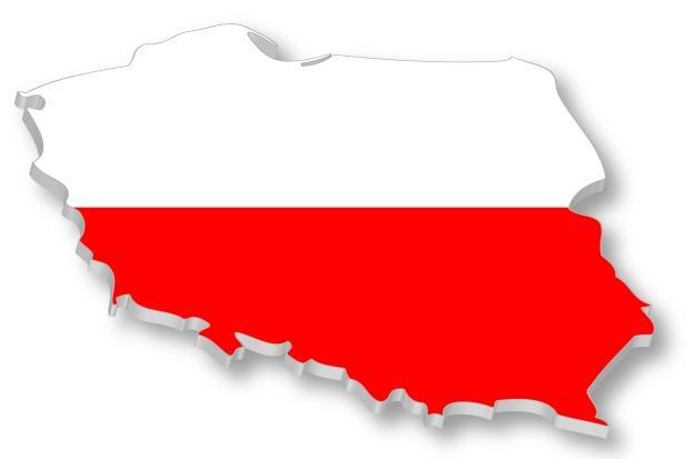 Polska-mapa-flaga_small.jpg