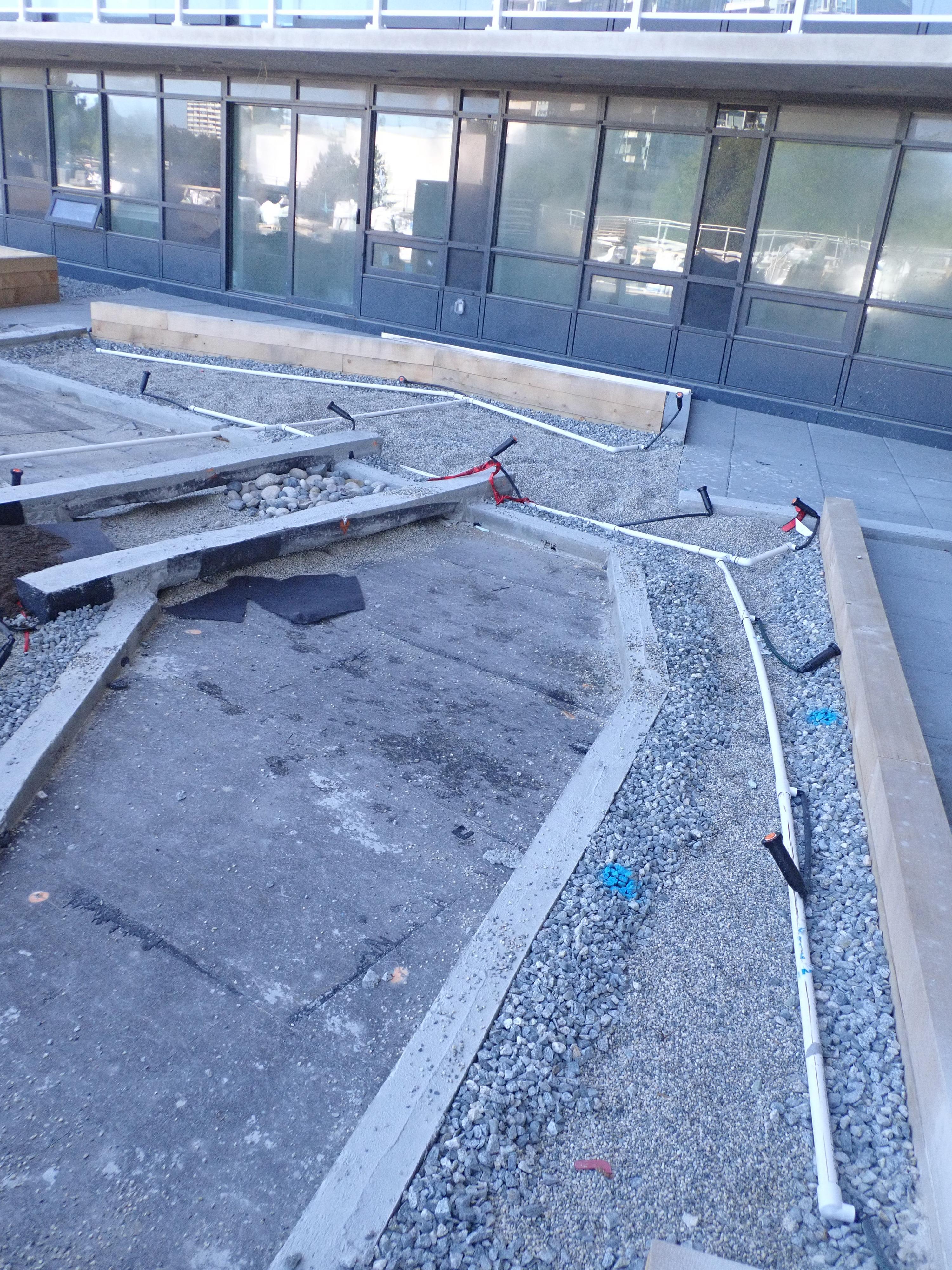Vancouver Sprinkler