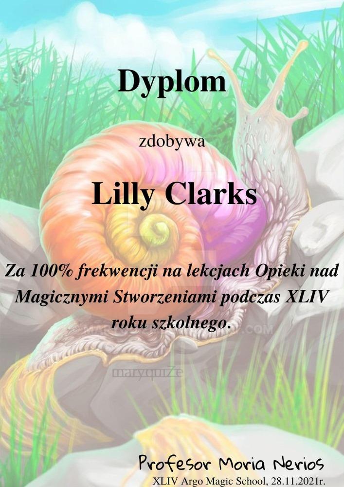 lilly.jpg