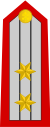 Lieutenant Colonel