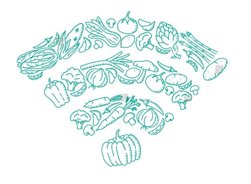 vegetable-wifi