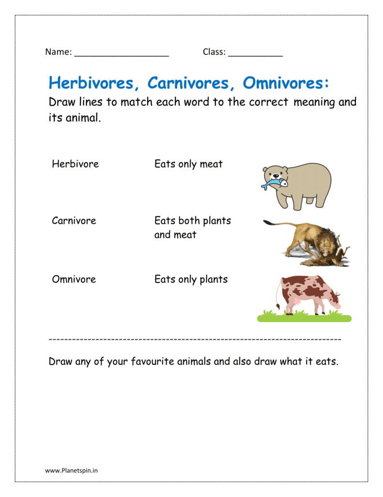 Herbivore carnivore omnivore worksheet pdf | Planetspin.in