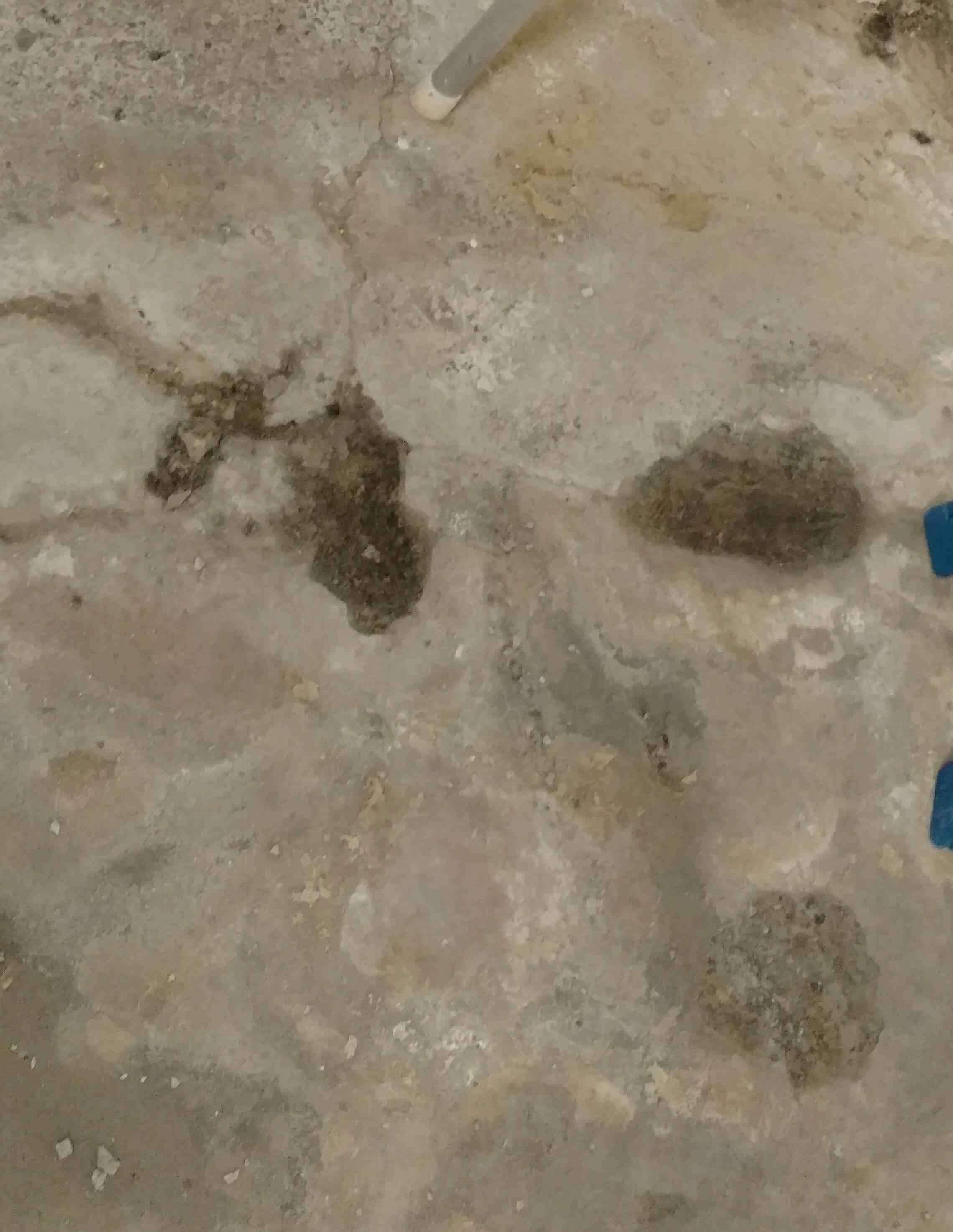 Rising Damp Solutions