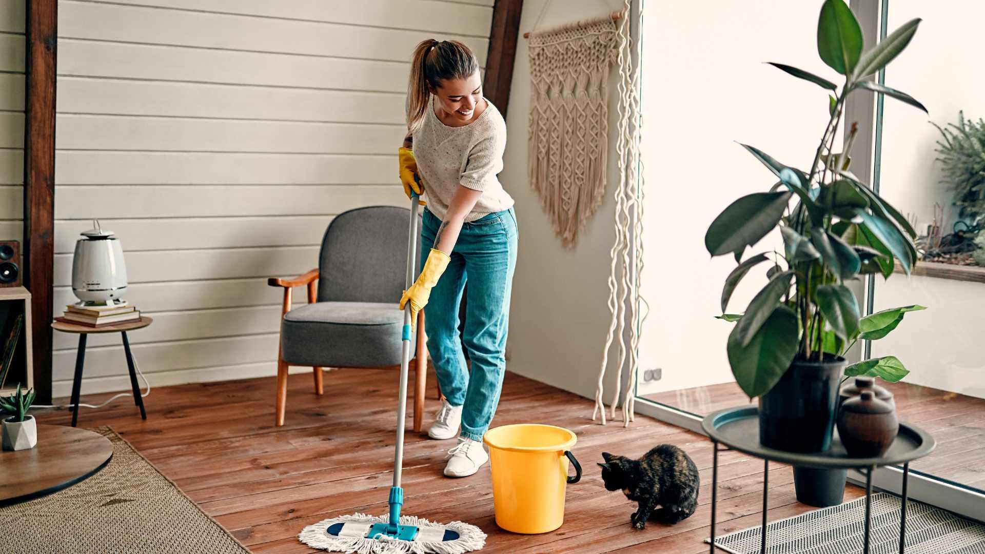 cleaning services from House Cleaning Baltimore MD