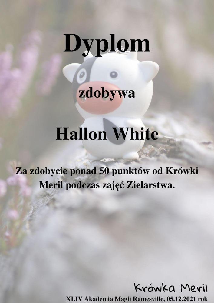 hallon.jpg