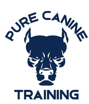 training gear for puppies